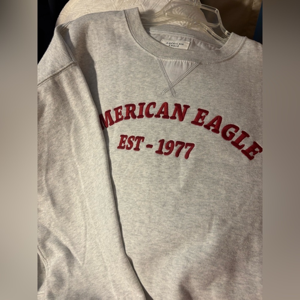 American Eagle Light Gray Hoodie - Picture 7 of 9